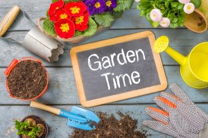 How to prepare a home garden in Auburn, WA
