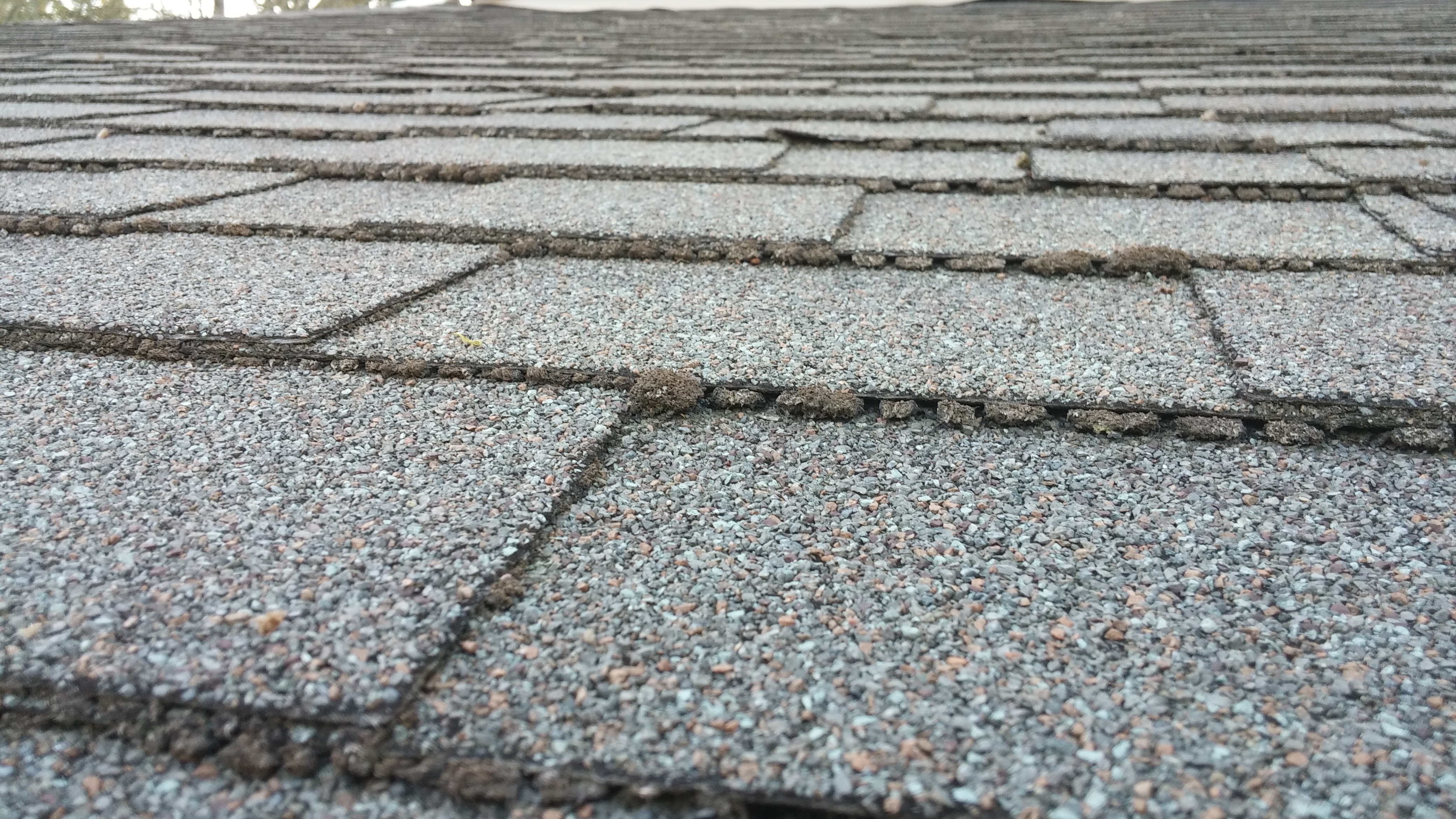 How to inspect your roof for damage in Auburn, WA