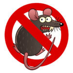 rodent insurance coverage for your car in Auburn, WA
