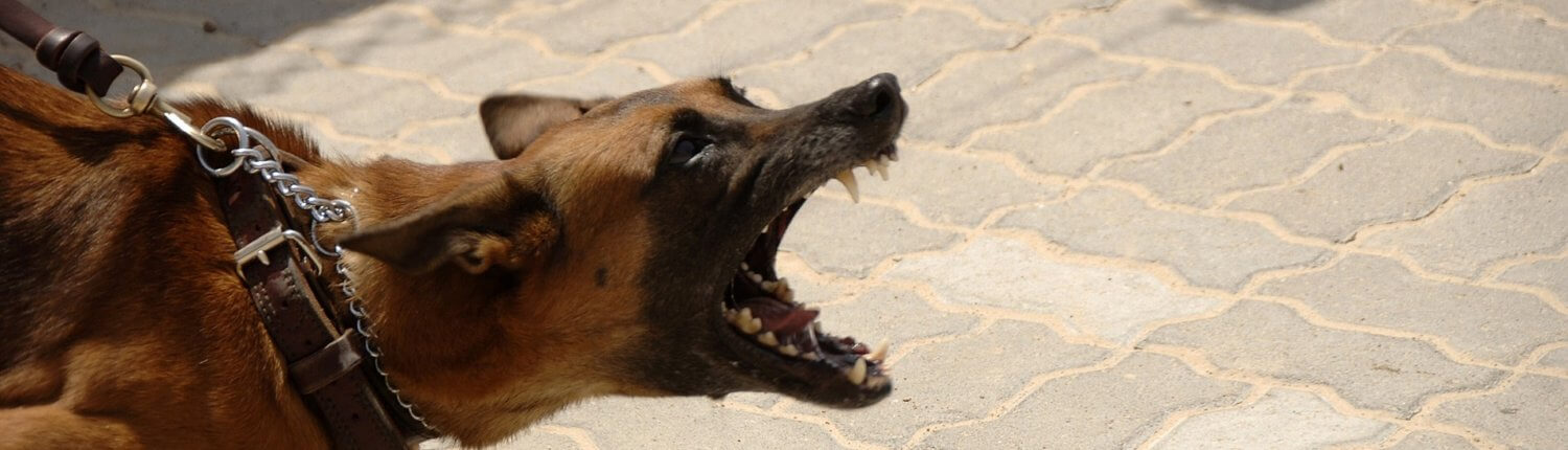 Liability Insurance Auburn, WA