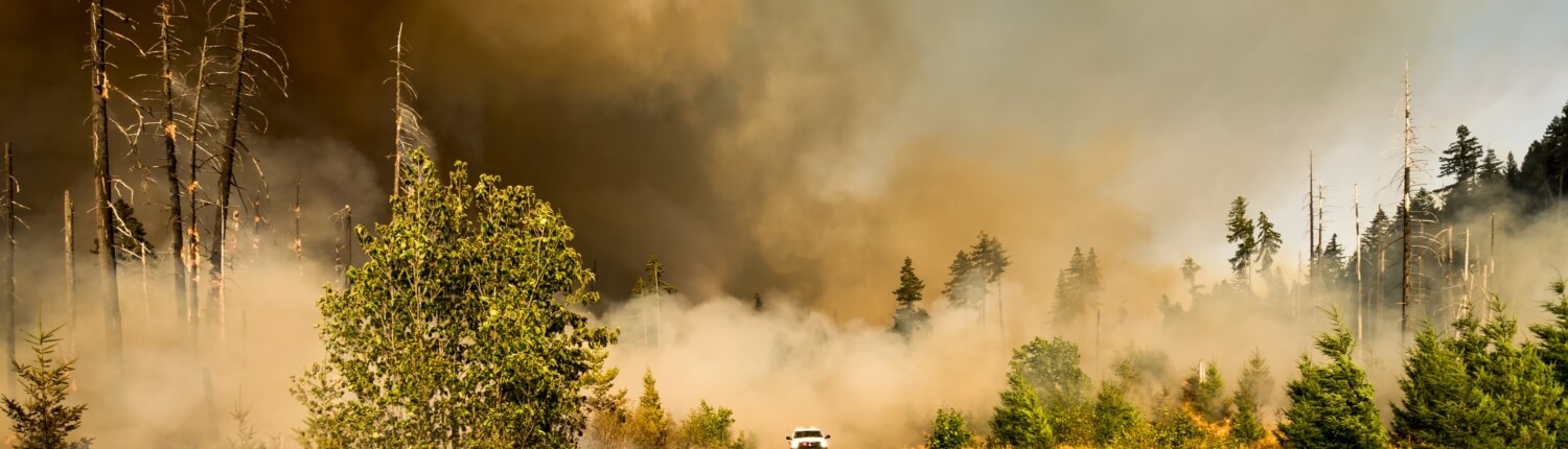 September is National Preparedness Month - Auburn, WA