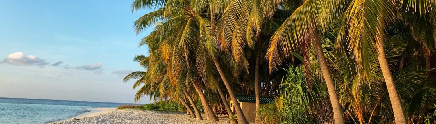 Temporary Insurance Policies in Head & Malesis Insurance Agencies in Auburn, Washington