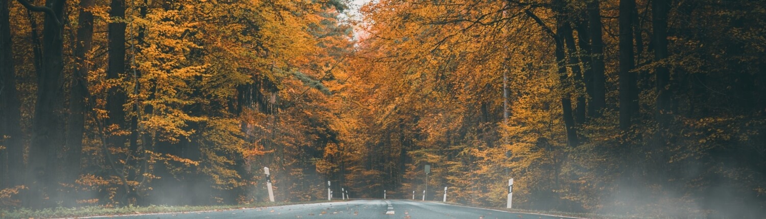 Fall and winter driving in Auburn, Washington